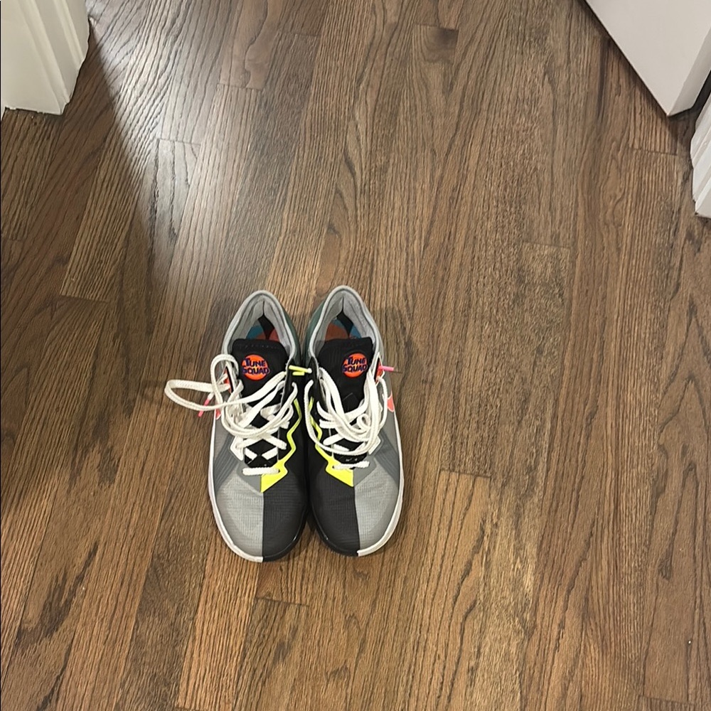 Nike LeBron X tune Squad basketball shoes